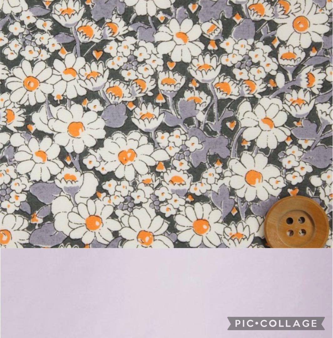 ひふみ 様