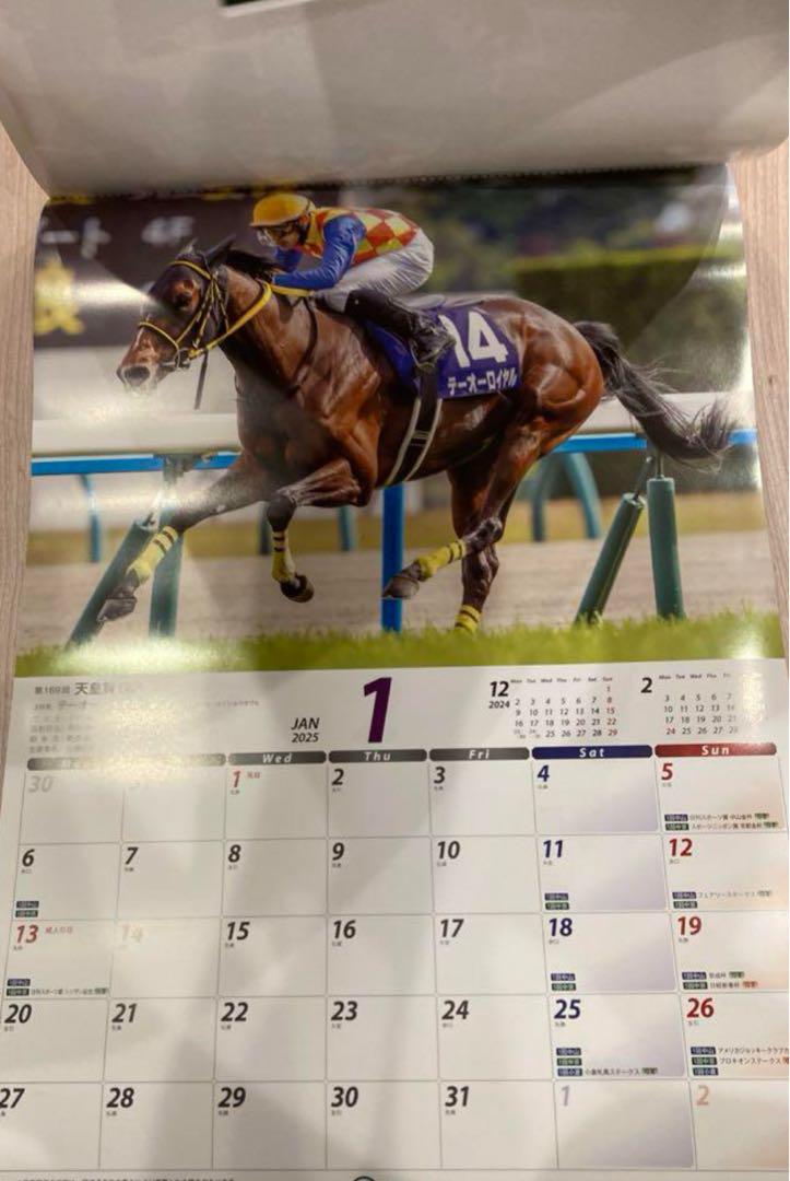 JRA 2025 カレンダー 壁掛け