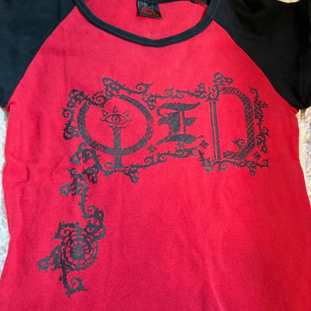 【Acid Black Cherry 】バンドT