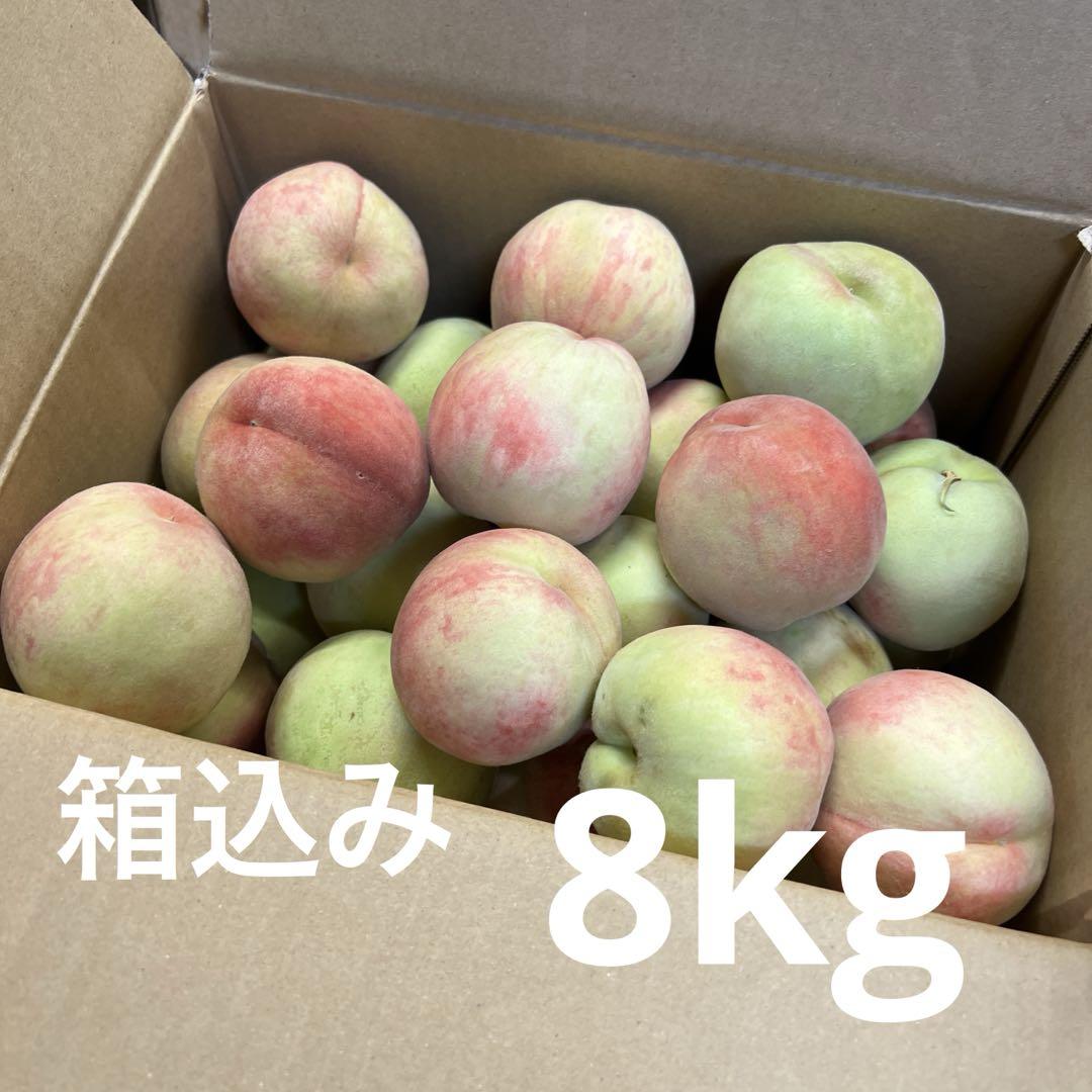 ㉗若桃 箱込み8kg コンビニ払い❌