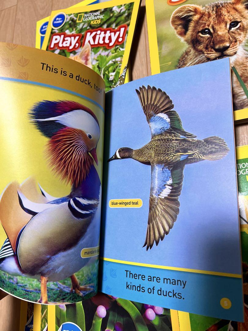 新品National Geographic Kids初心者30冊セット英語 - メルカリ