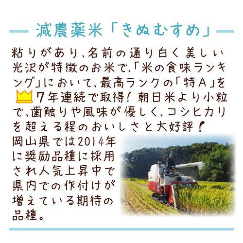 ☆ひー様☆専用【特別栽培米 朝日／減農薬米 きぬむすめ】20kg