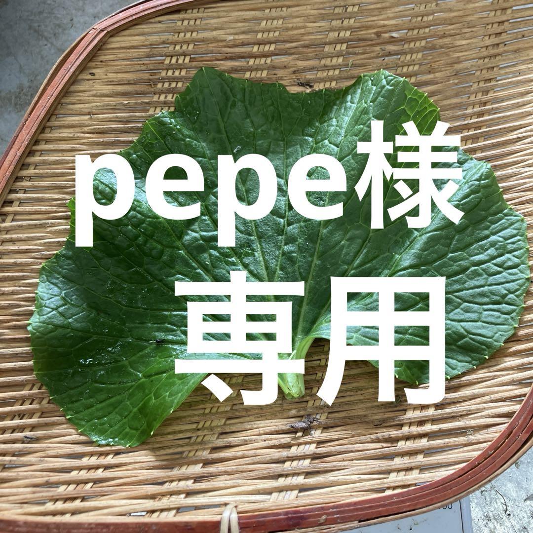 pepe様専用