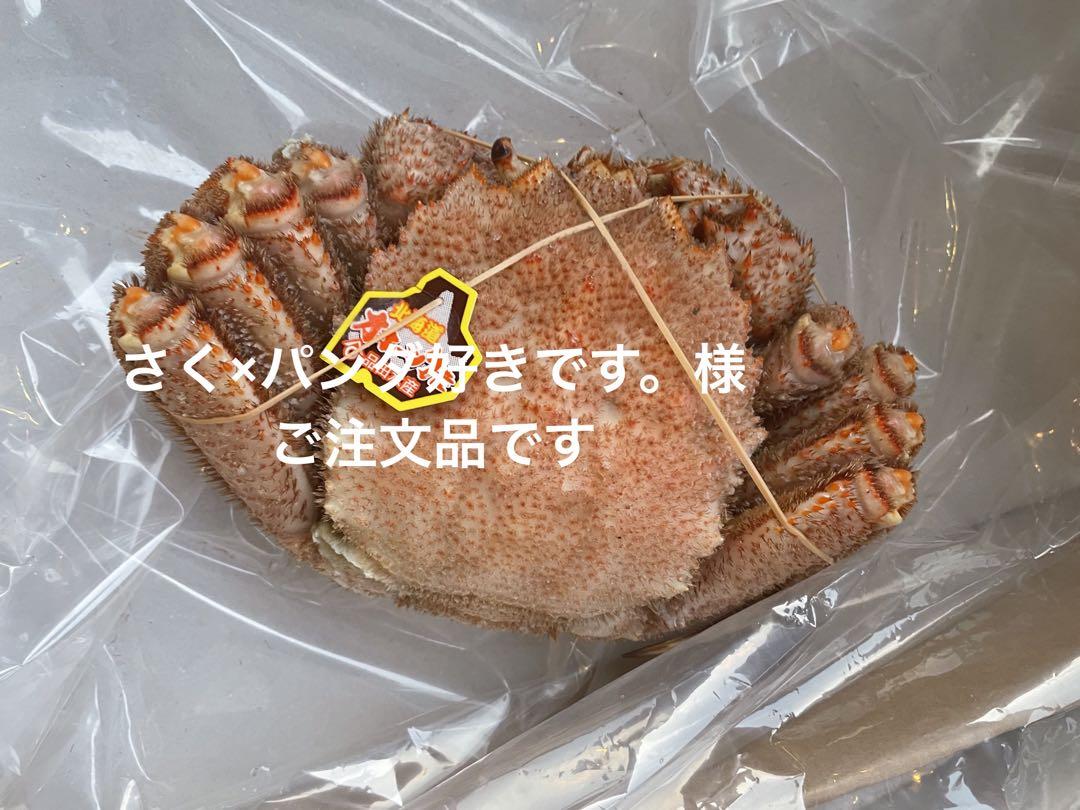 さく×2パンダ好きです。様ご注文品です♪