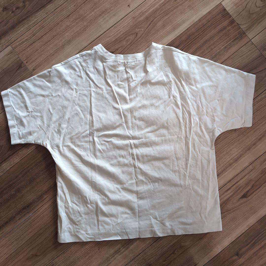 ホワイト Tシャツ サイズ38 コットン100%