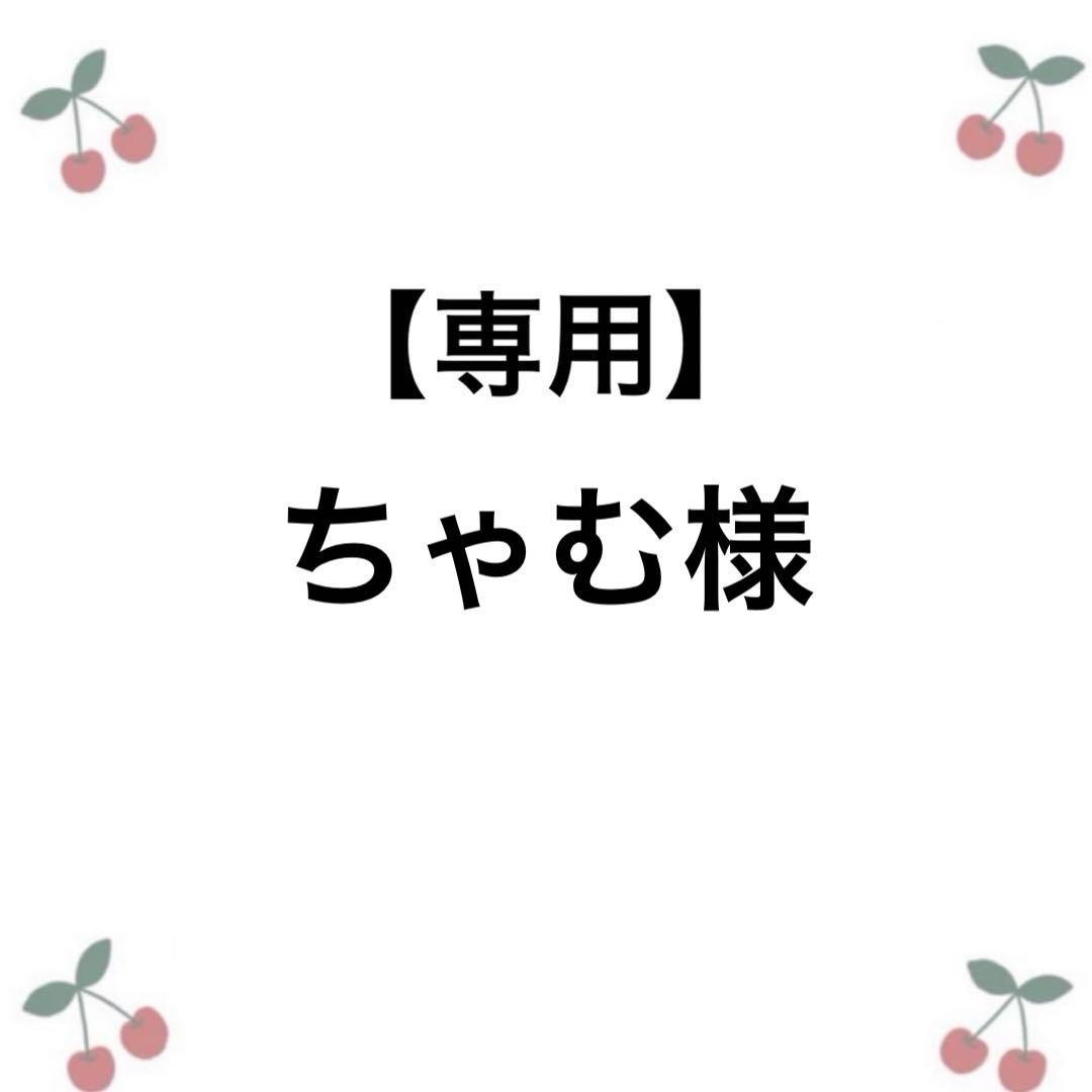 【ちゃむ様専用】オーダー