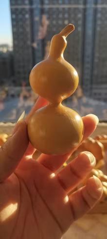 にんにく卵黄 サプリメント