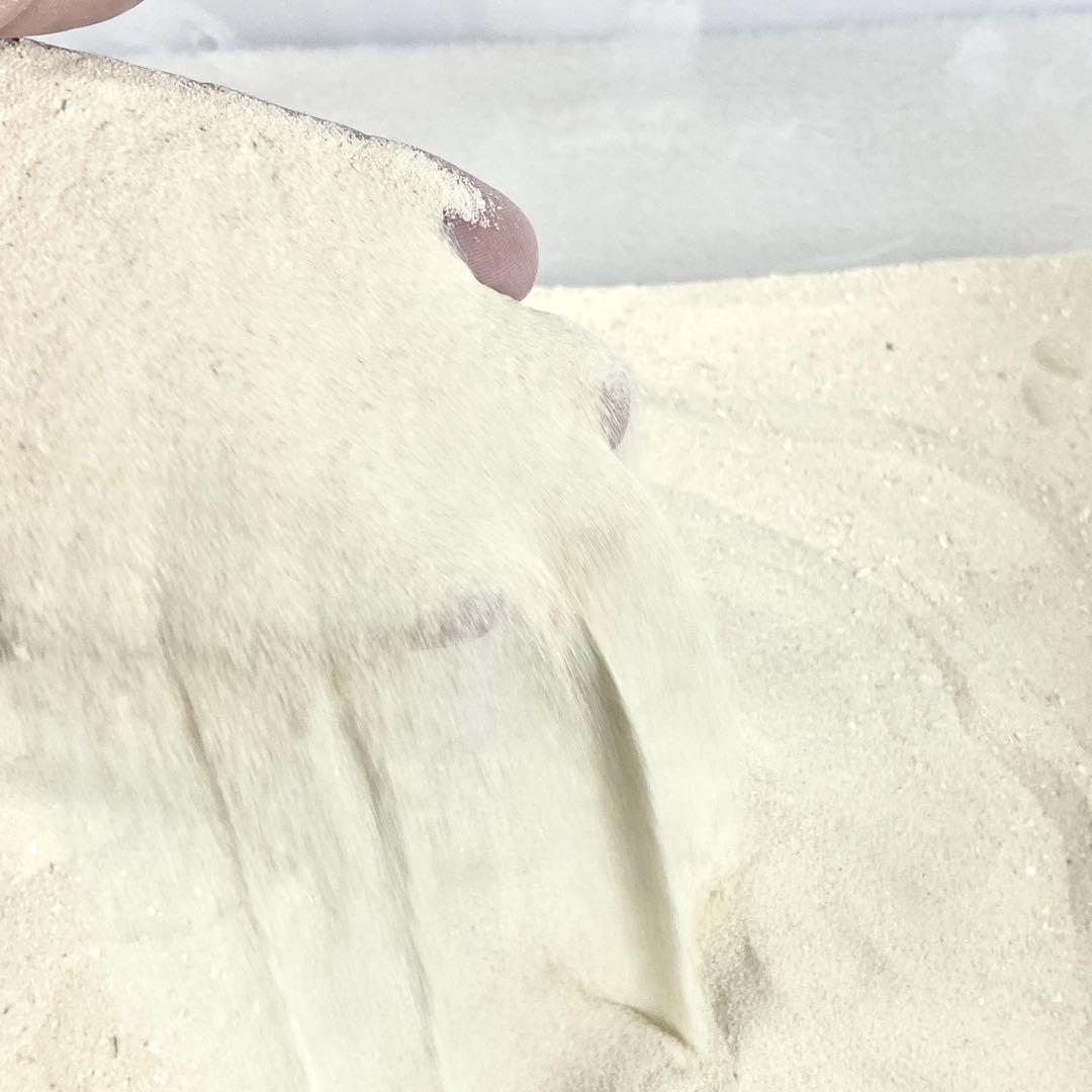 【天然】パラオ産 珊瑚砂 8kg 極細サイズ