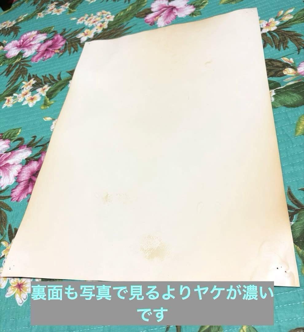 松本夏実 大分ハウスみかん ポスター B3 JA おおいた 激レア 貴重 非売品