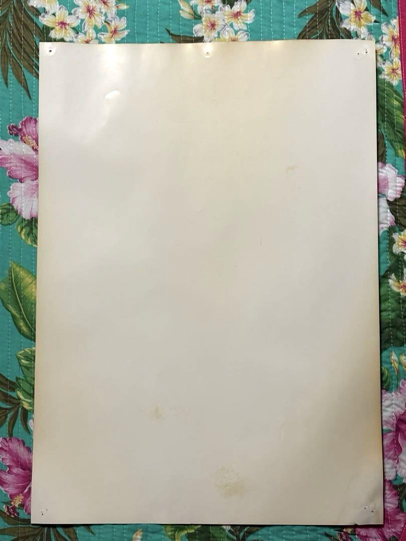 松本夏実 大分ハウスみかん ポスター B3 JA おおいた 激レア 貴重 非売品