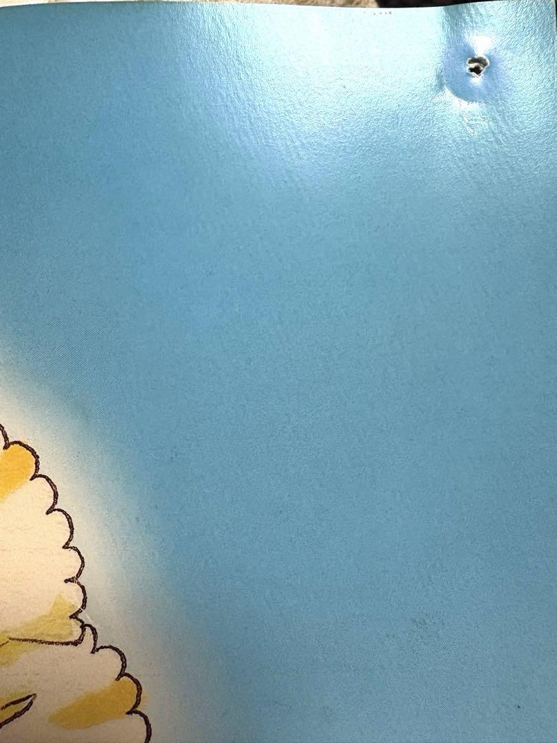 松本夏実 大分ハウスみかん ポスター B3 JA おおいた 激レア 貴重 非売品