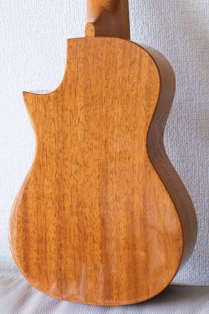 SOLO UKULELE