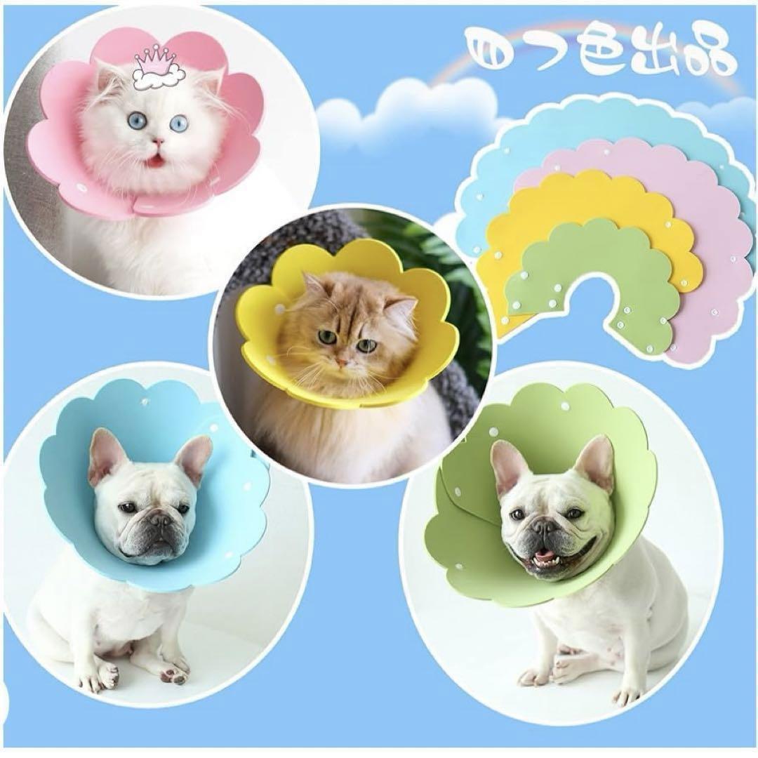 猫用