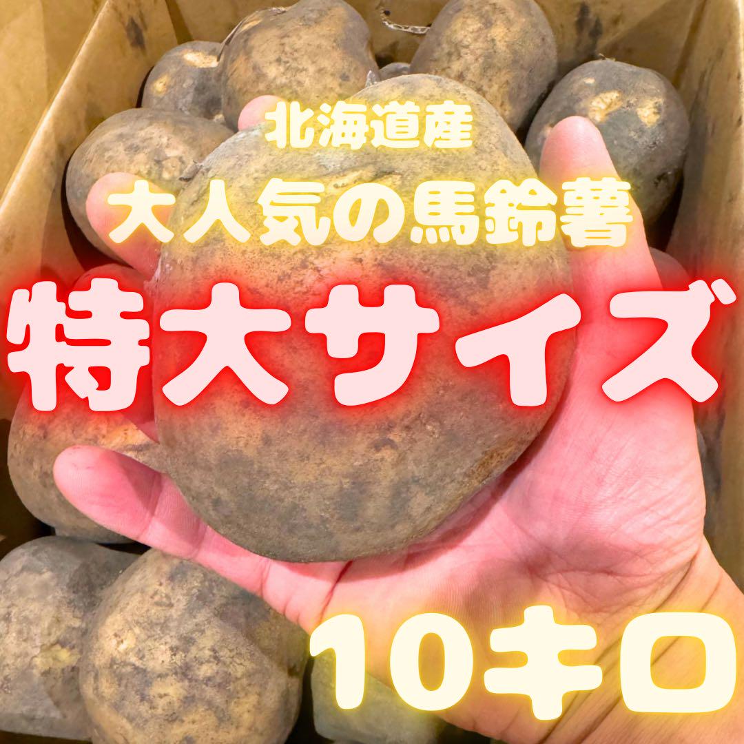 ジャンボサイズ　数量限定　じゃがいも　26