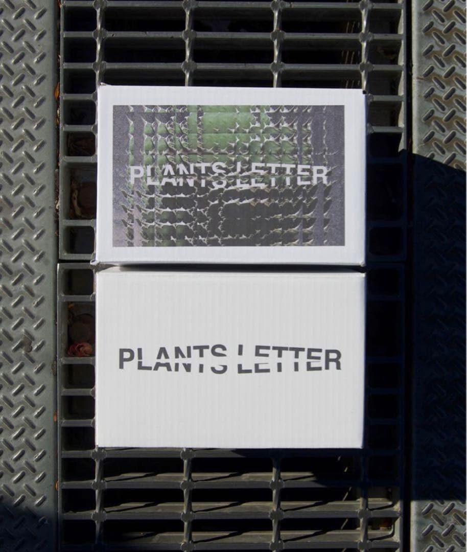 【プランツレター】アガベ チタノタ スナグルトゥース US カリフォルニア直輸入 【プランツレター】アガベ チタノタ スナグルトゥース US カリフォルニア直輸入