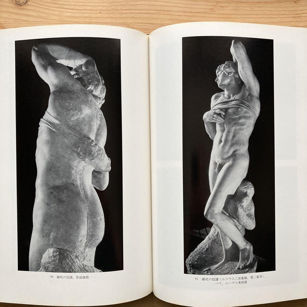 ミケランジェロ /彫刻家・画家・建築家/シャルル・ド・トルナイ、田中英道訳