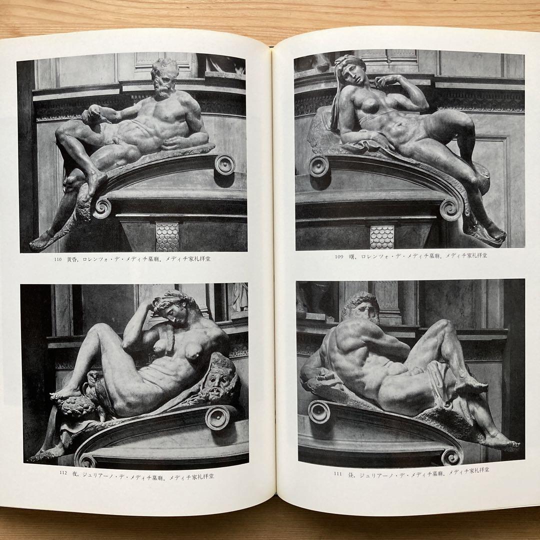 ミケランジェロ /彫刻家・画家・建築家/シャルル・ド・トルナイ、田中英道訳
