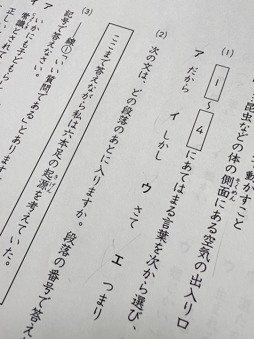 キャンパス　マンスリーテスト　4年生　4回分　未使用　中学受験 キャンパスマンスリーテスト 4年生 3月 解答 解説付き 4教科