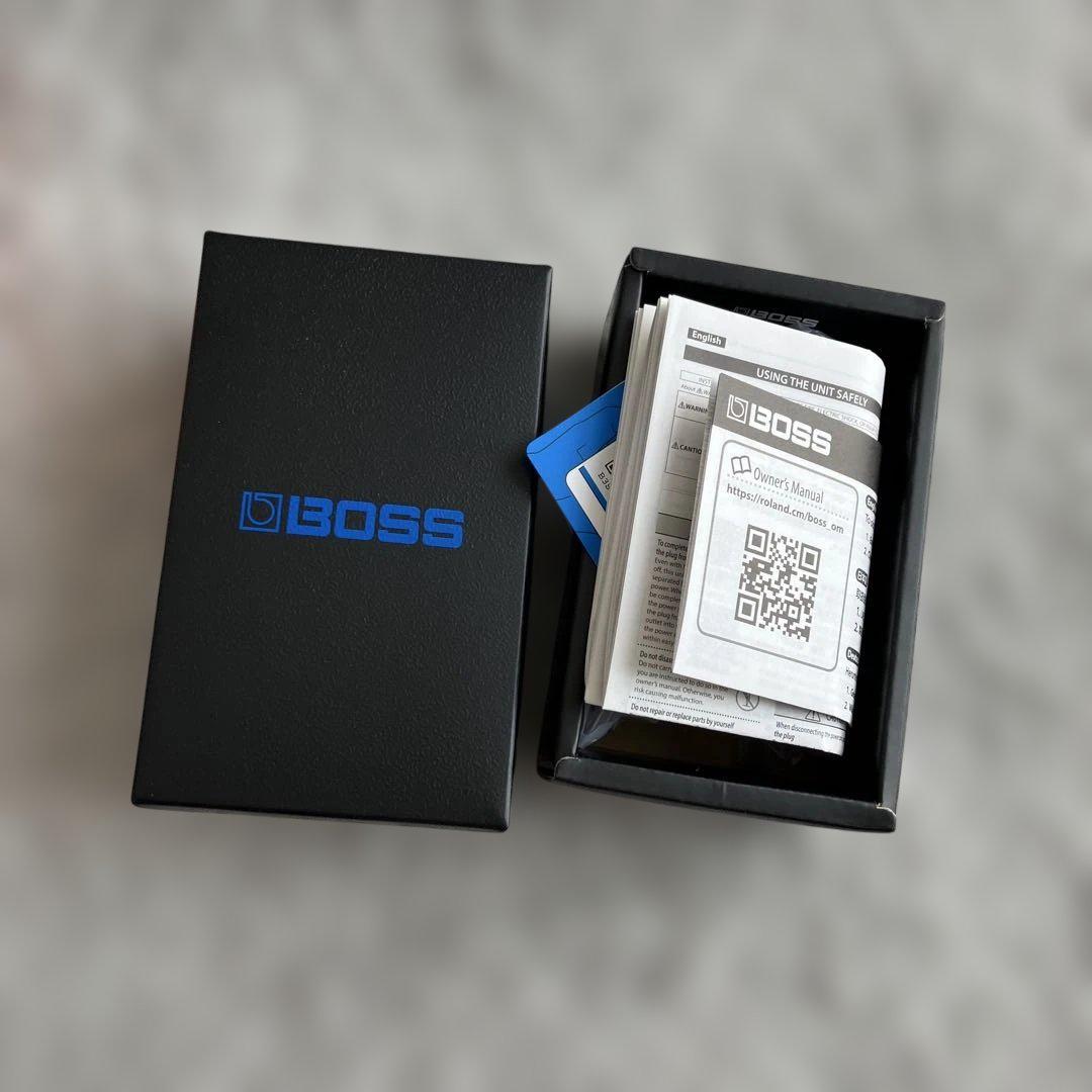 ギター BOSS / DS-1W