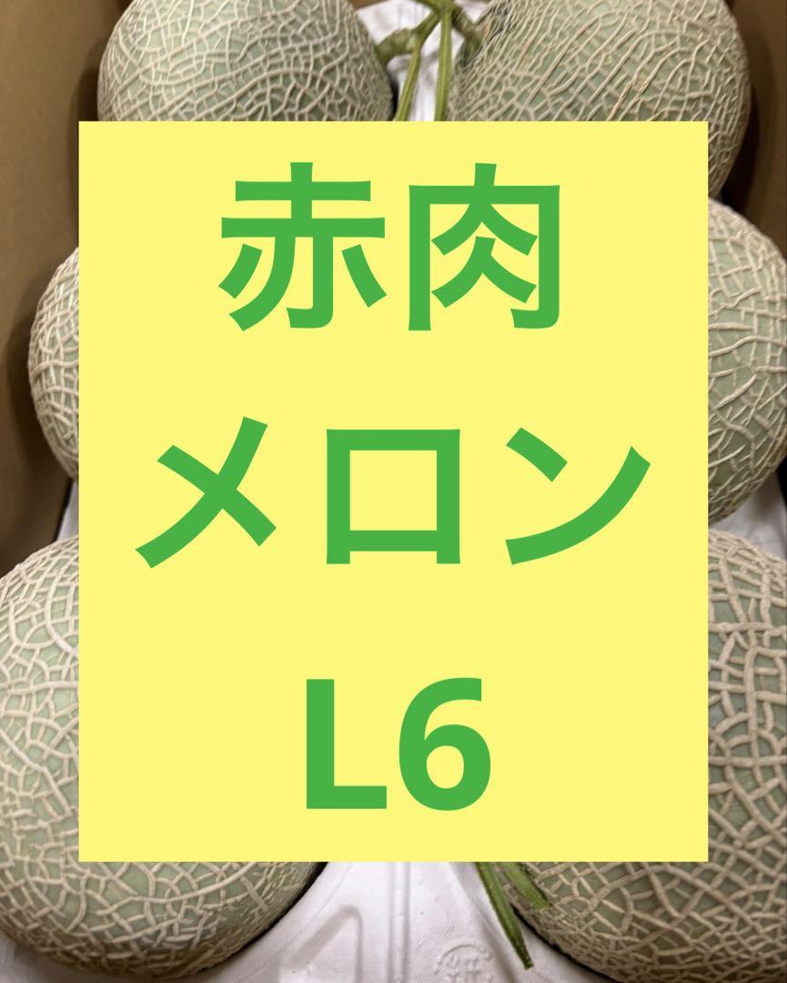 赤肉メロン　L 6玉