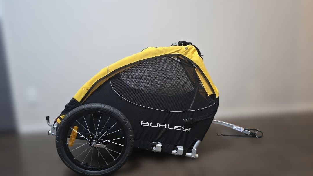 黄色やや傷や汚れあり