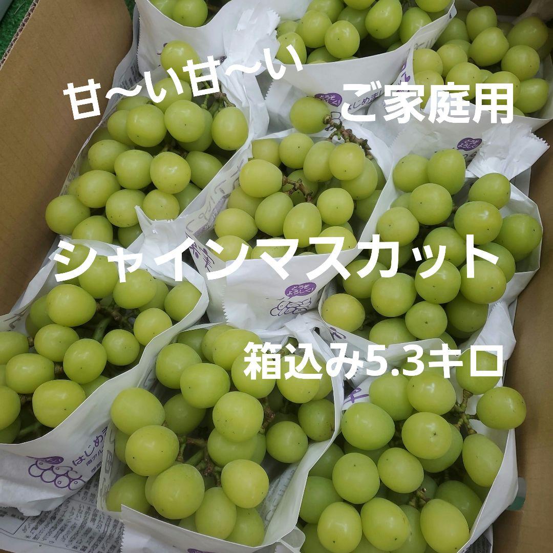 2️⃣ 山梨県産 シャインマスカット 9房入り 箱込み5.3キロ