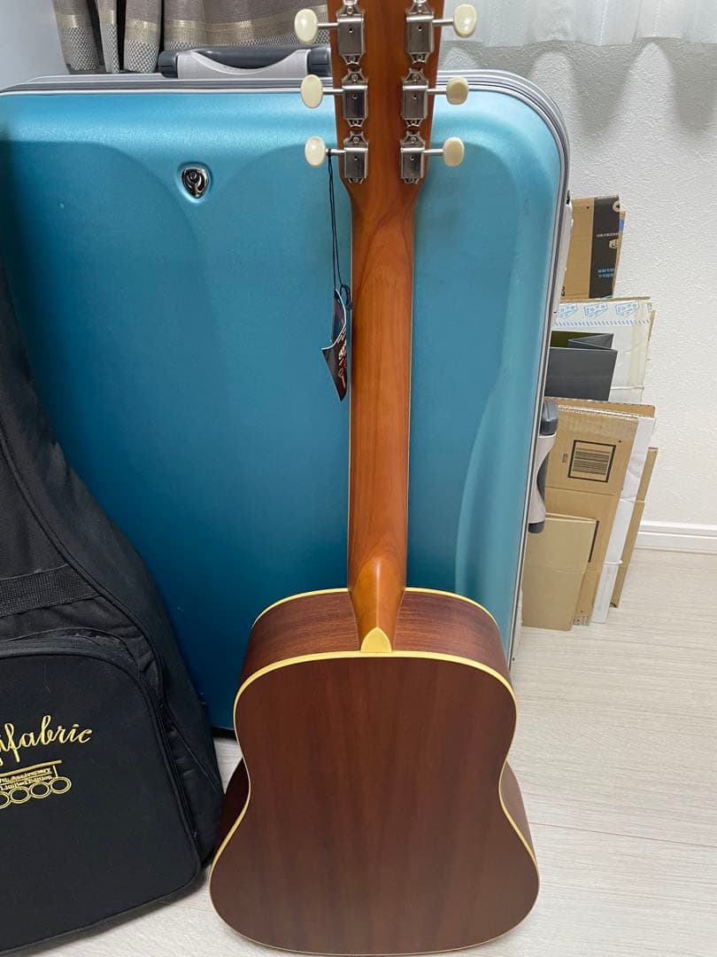 フジファブリック FAB GUITAR 器材 | mail.britanico.edu.ec