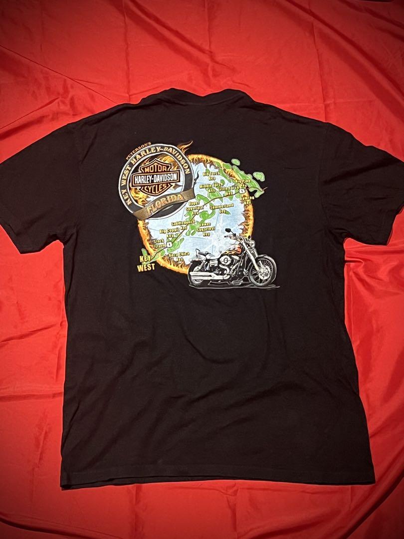 Harley-Davidson グラフィック フレイムス 両面プリント グランジ