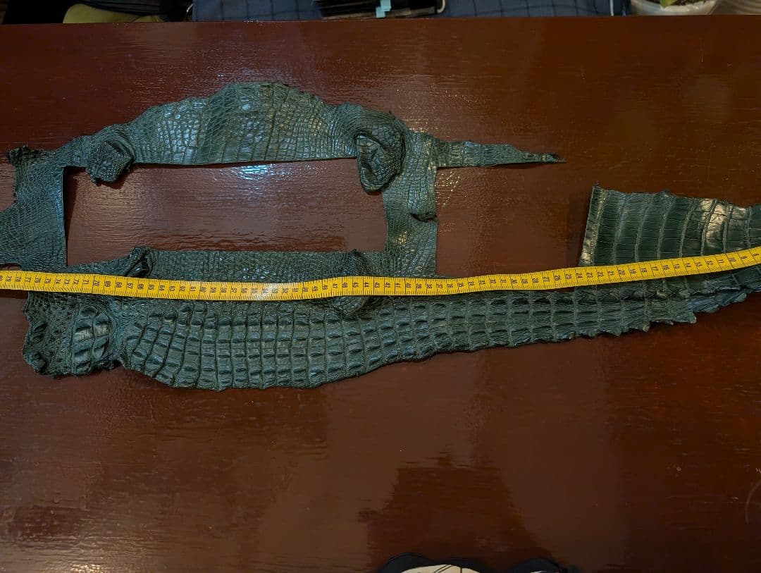 クロコダイルレザー1枚　ダークグリーン　シャムワニ　ワニ革　レザー