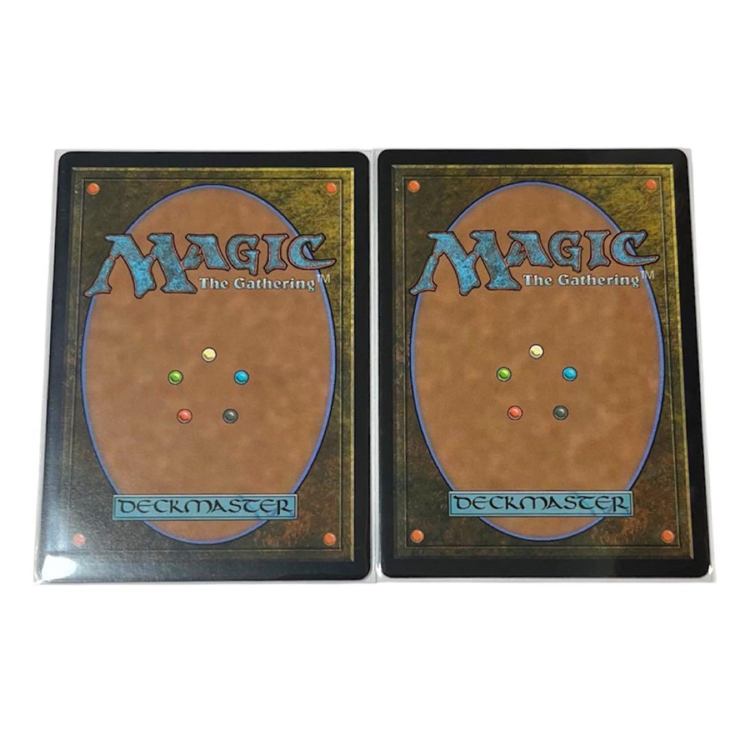 MTG FF 旅するチョコボ 日本語 2枚セット ファイナル