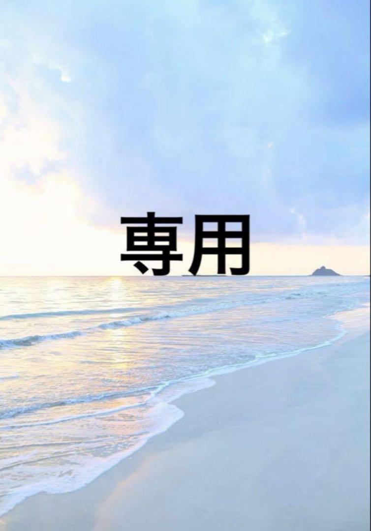 専用