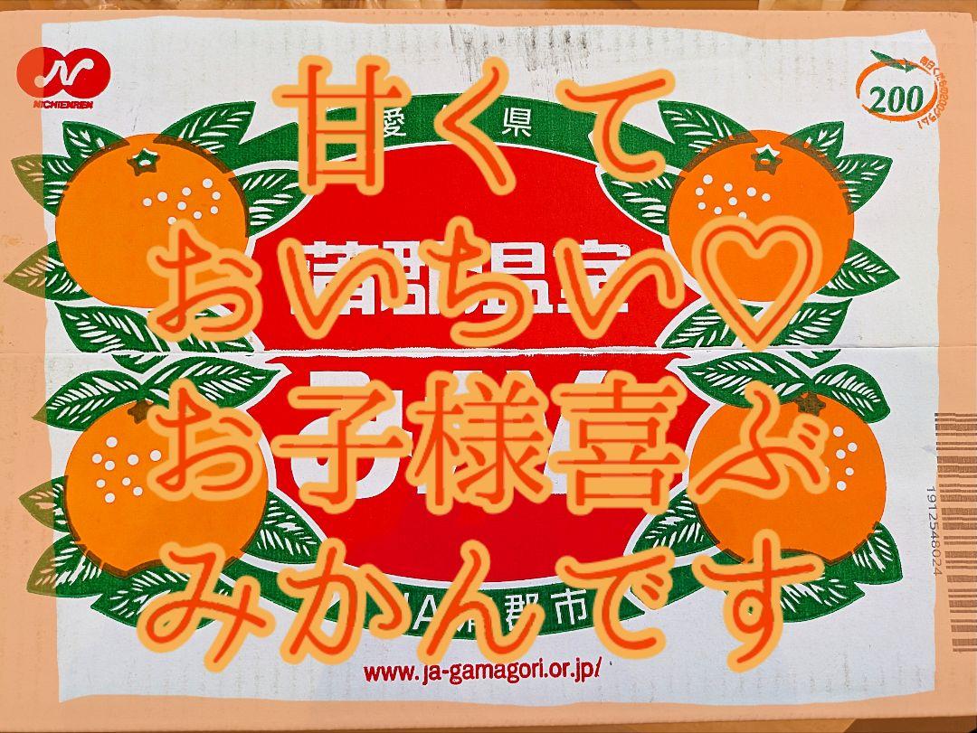 専用です♡２箱分♡♡２Ｓサイズ♡箱込み10㎏♡