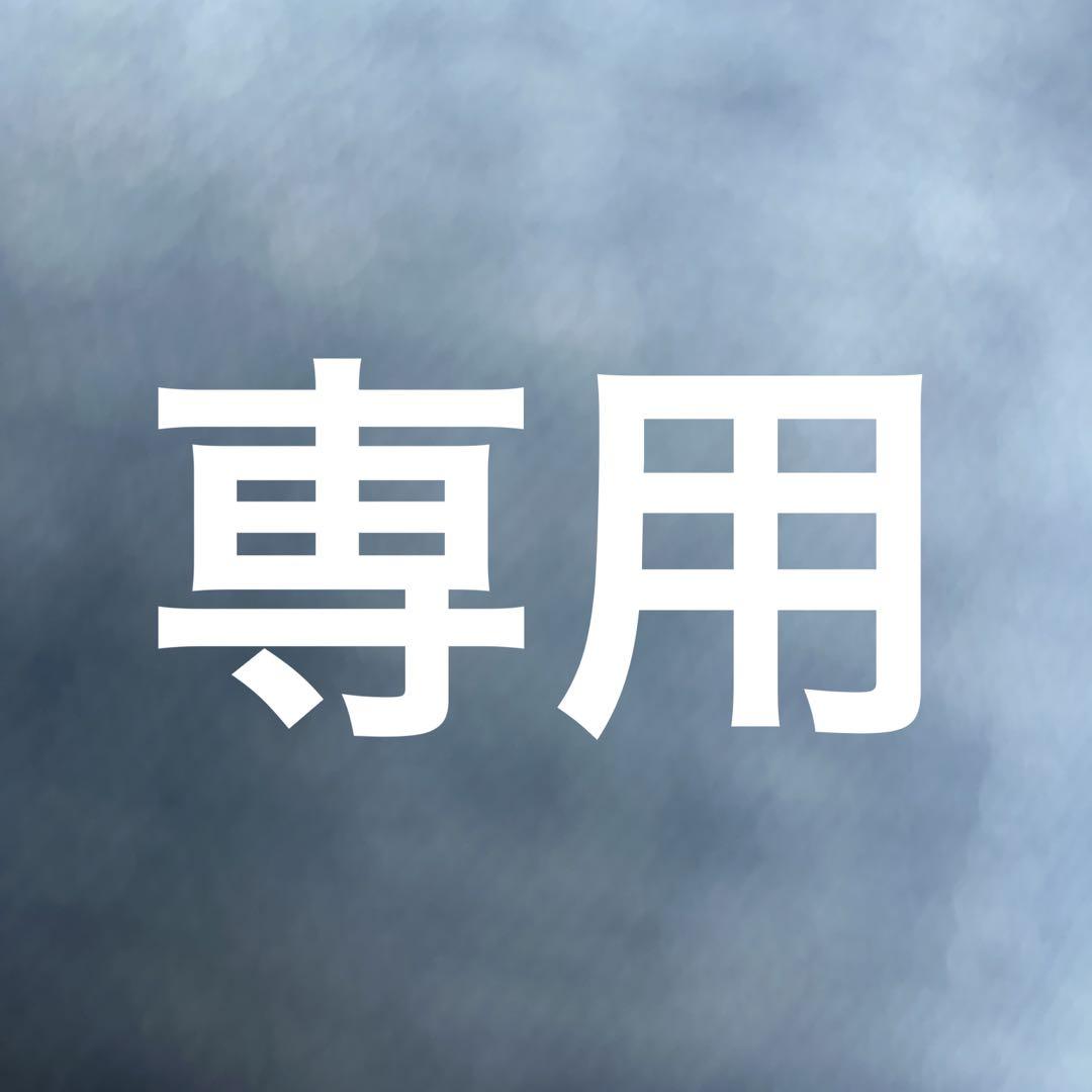 Kayaran様 リクエスト 2点 まとめ商品