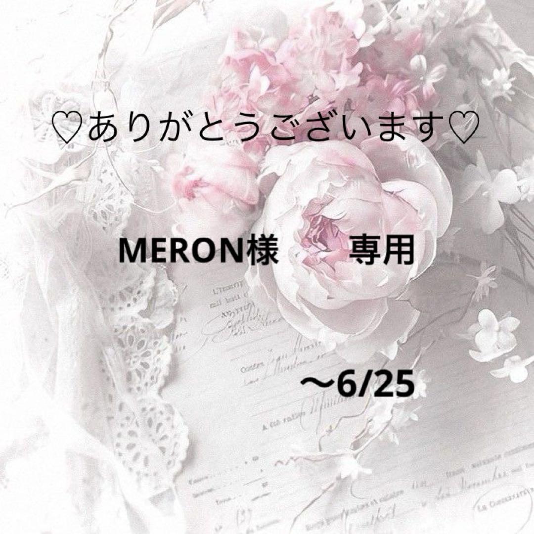MERON様専用　レジンヘアゴム　ポニーフック　ドライフラワー　No.205