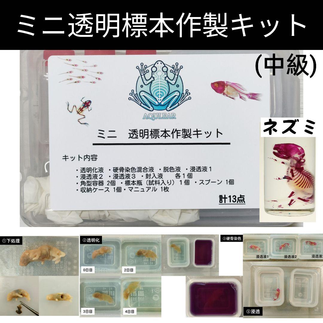 mic様 リクエスト 4点 まとめ商品 マイク様 リクエスト 4点 まとめ商品 - メルカリ mic様