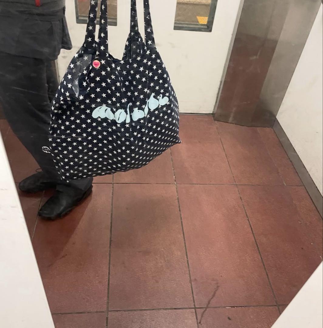 韓国限定】SHALOM PURO STAR BAG 新品未使用 トートバッグ