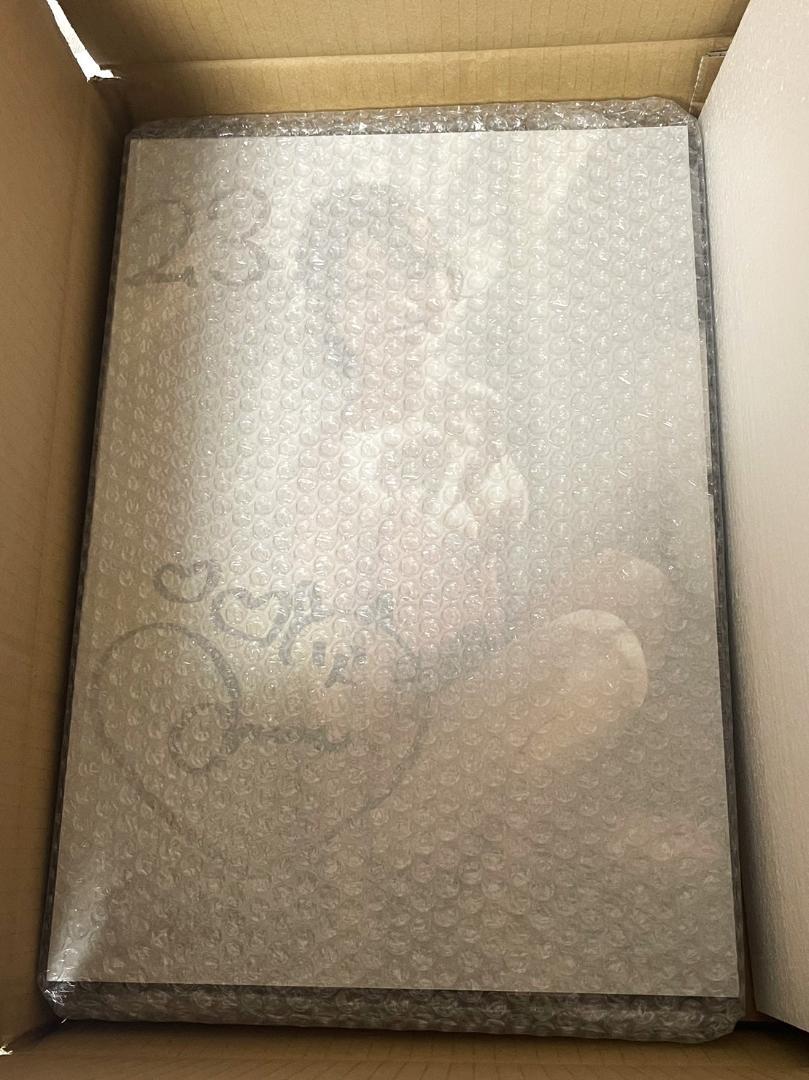 新品】新谷姫加 直筆サイン入り写真パネル (A3サイズ) 限定品