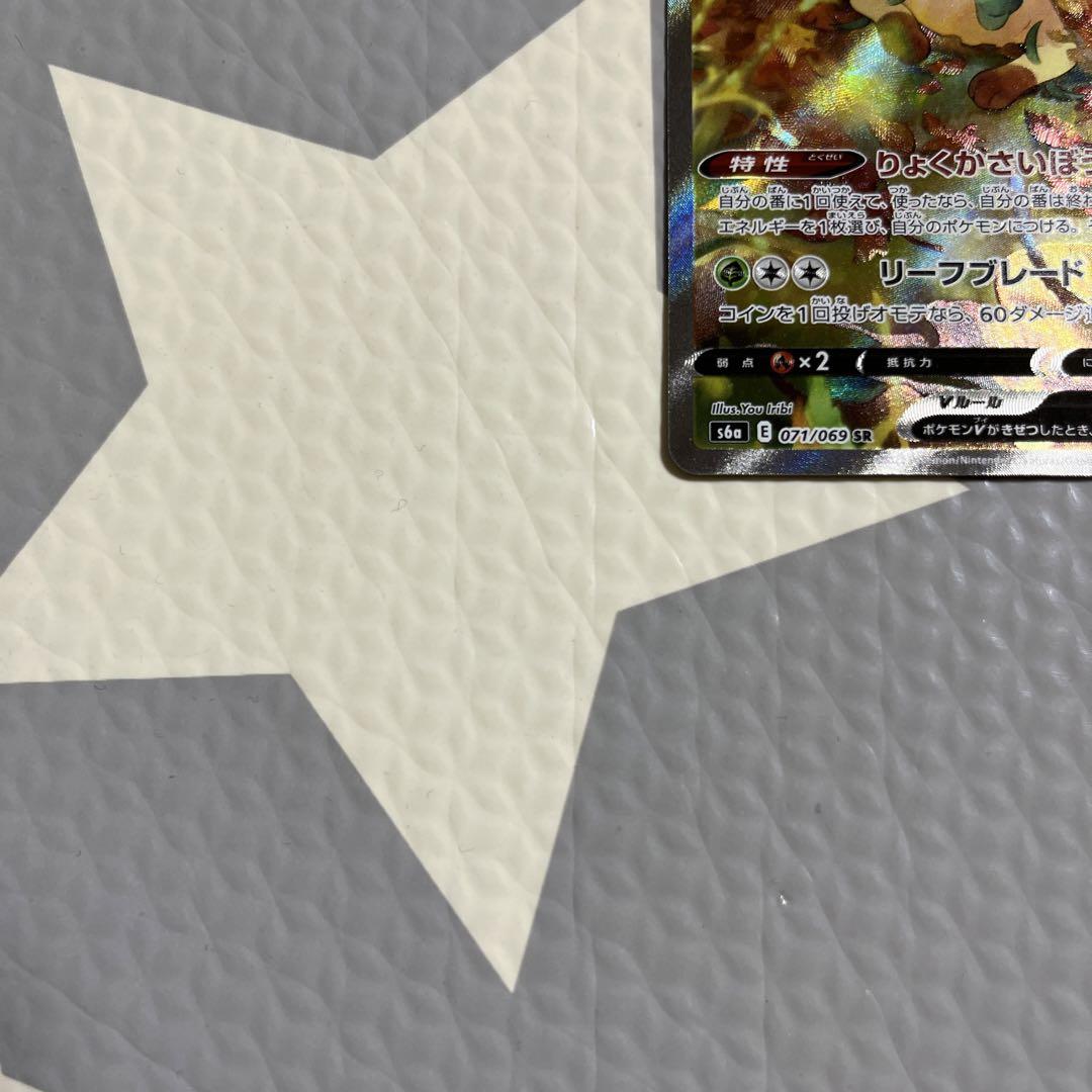 リーフィアv sa