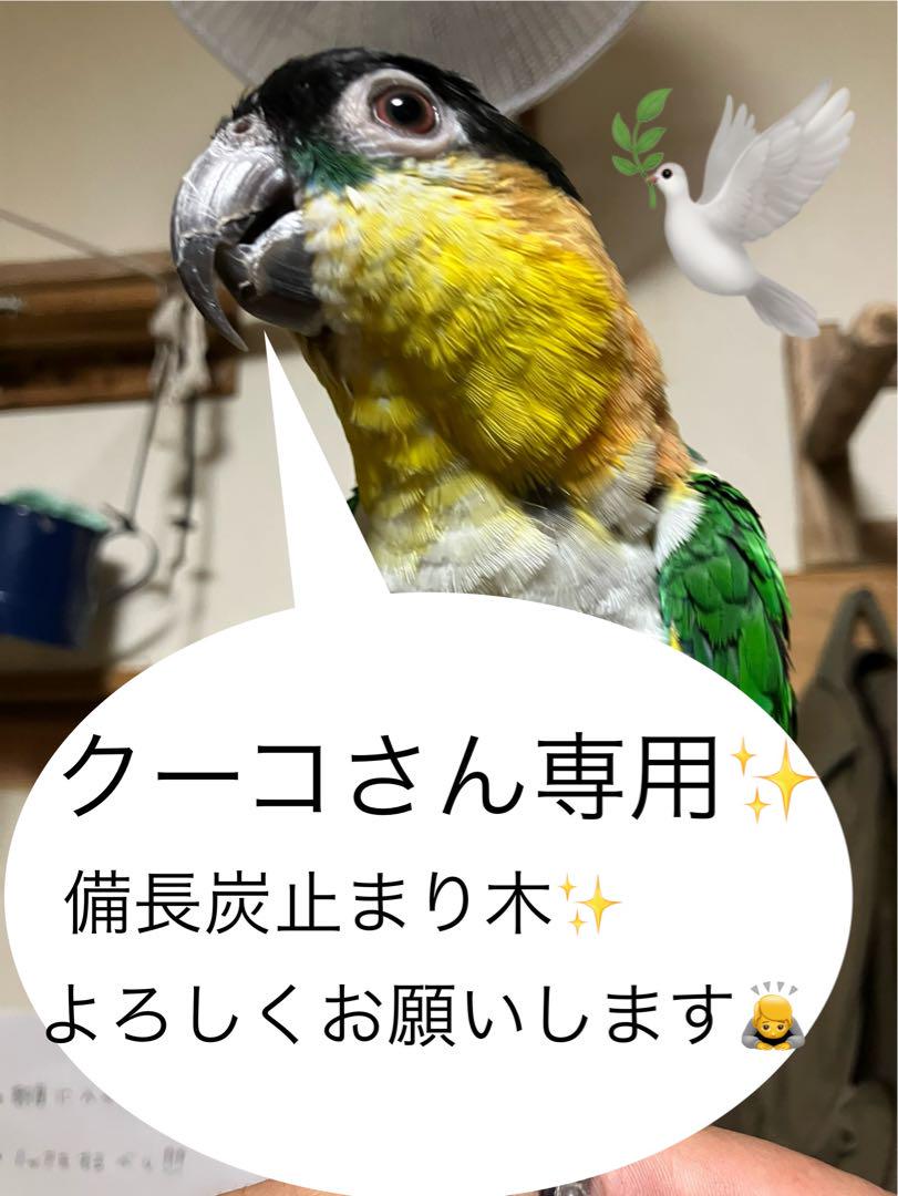 備長炭止まり木⭐️止まり木⭐️パーチ⭐️ロープラダー⭐️専用です(*☻-☻*)⭐️ shu☆備長炭止まり木販売 (@shu_carbon) / X
