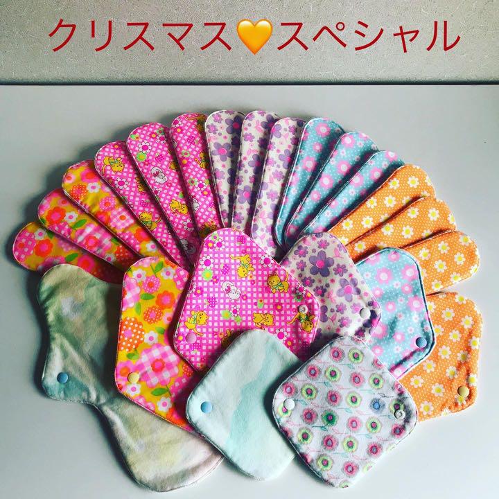 布ナプキンセット★クリスマススペシャル★透湿防水布★布ホルダー取換えパッド一体型