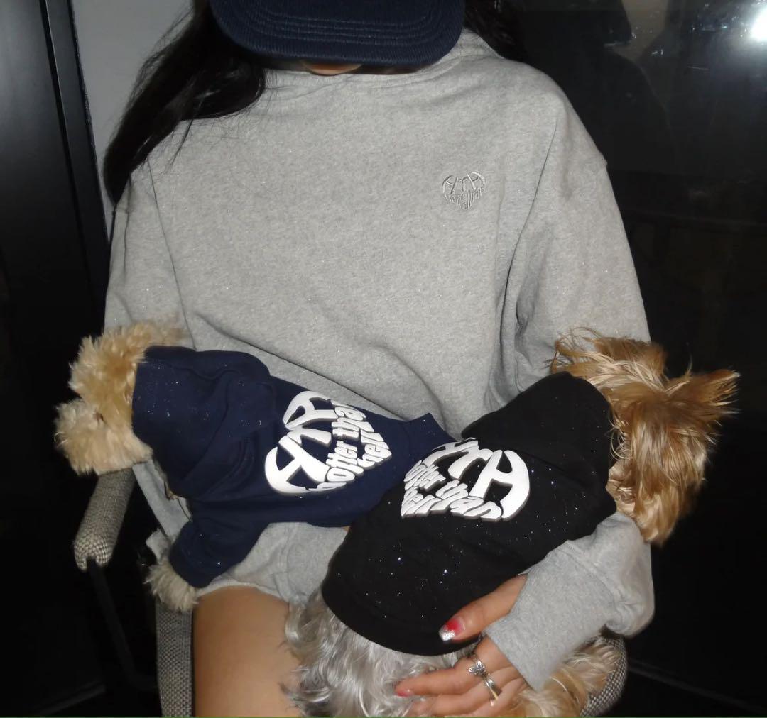 glitter heart logo hoodie (for pets) – YZ