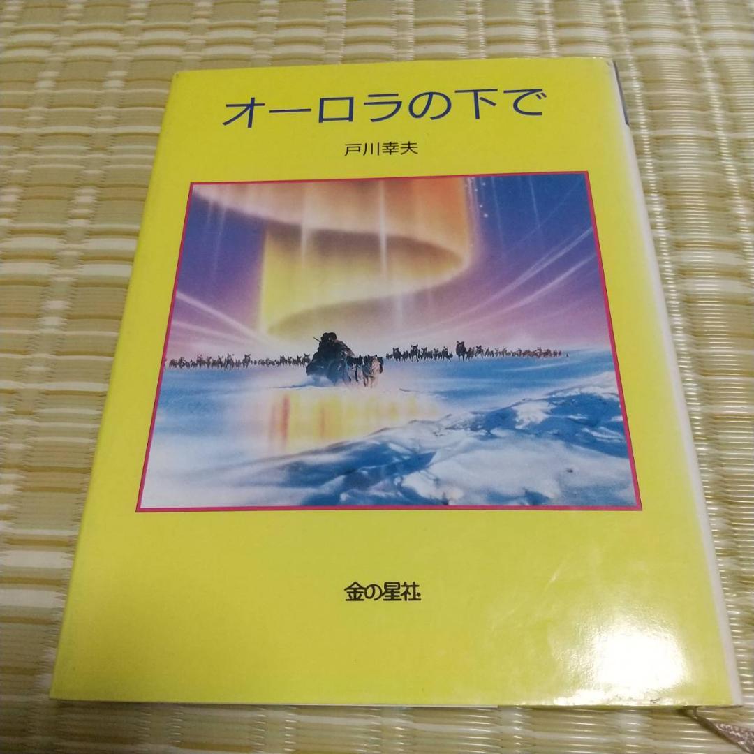 オーロラの下で メルカリ オーロラの下で メルカリ