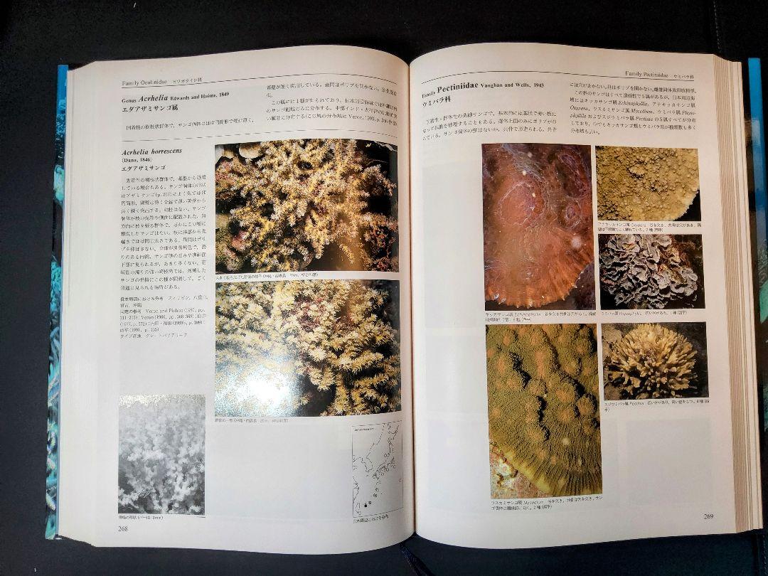 絶版 超レア！】日本の造礁サンゴ類 図鑑-ファッション販売