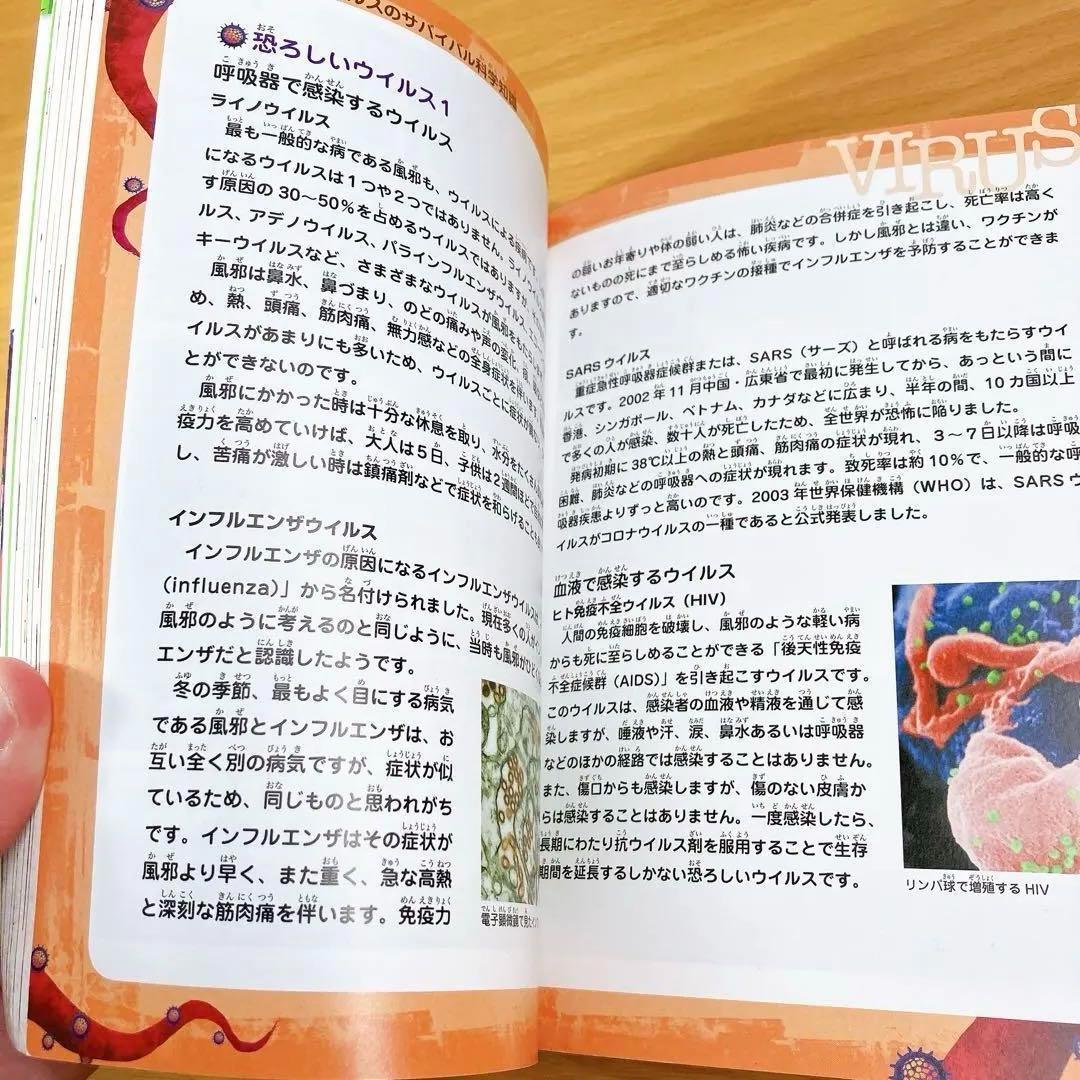 サバイバルシリーズ　25冊セット　かがくる サバイバルシリーズ 25冊セット かがくる - メルカリ