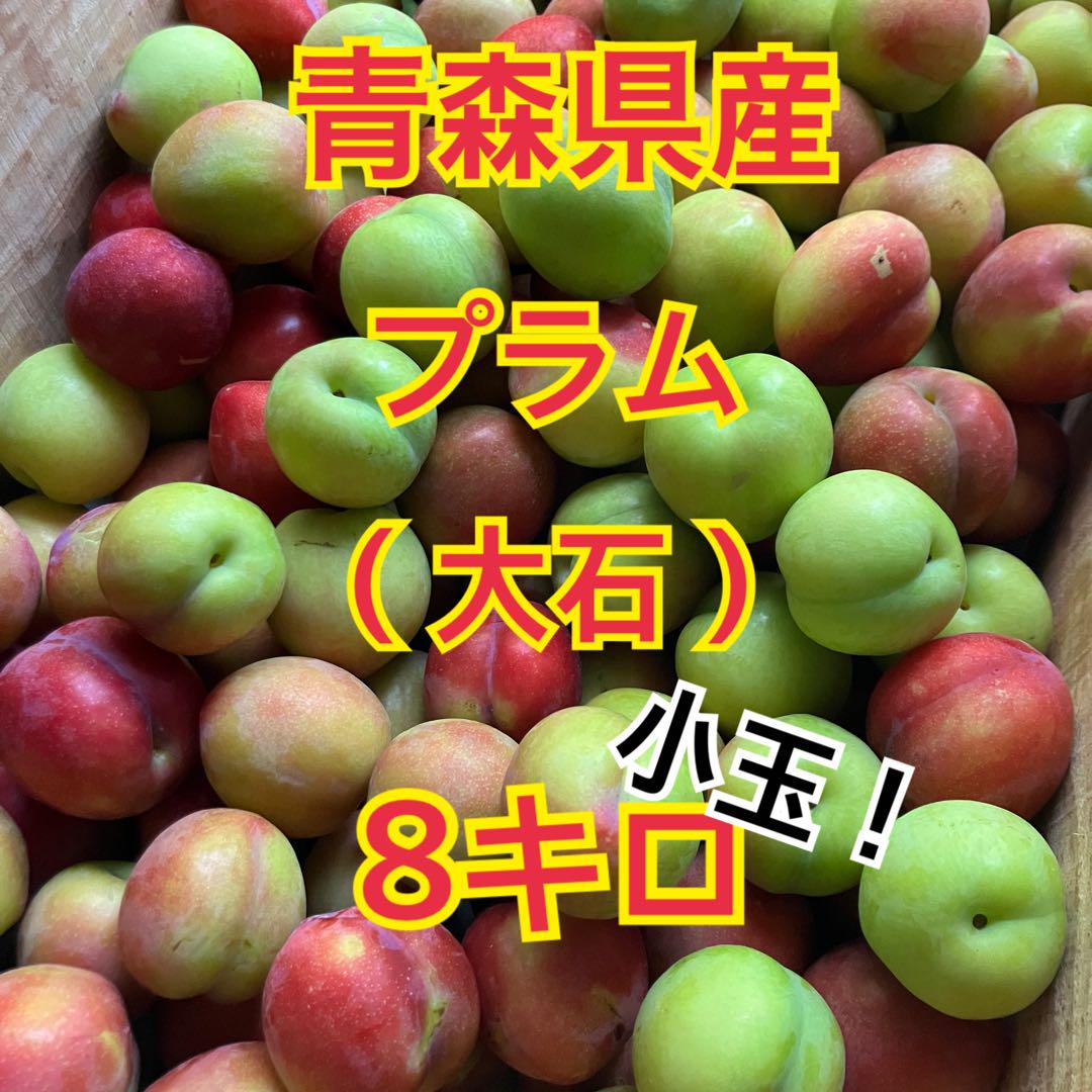 青森県産 プラム すもも 大石 8kg 箱込み 青森県産 プラム すもも 大石 8kg 箱込み - メルカリ