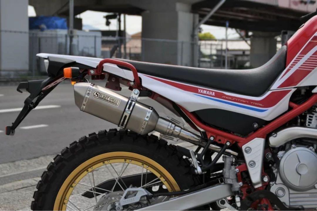 トリッカー ソリッド異形