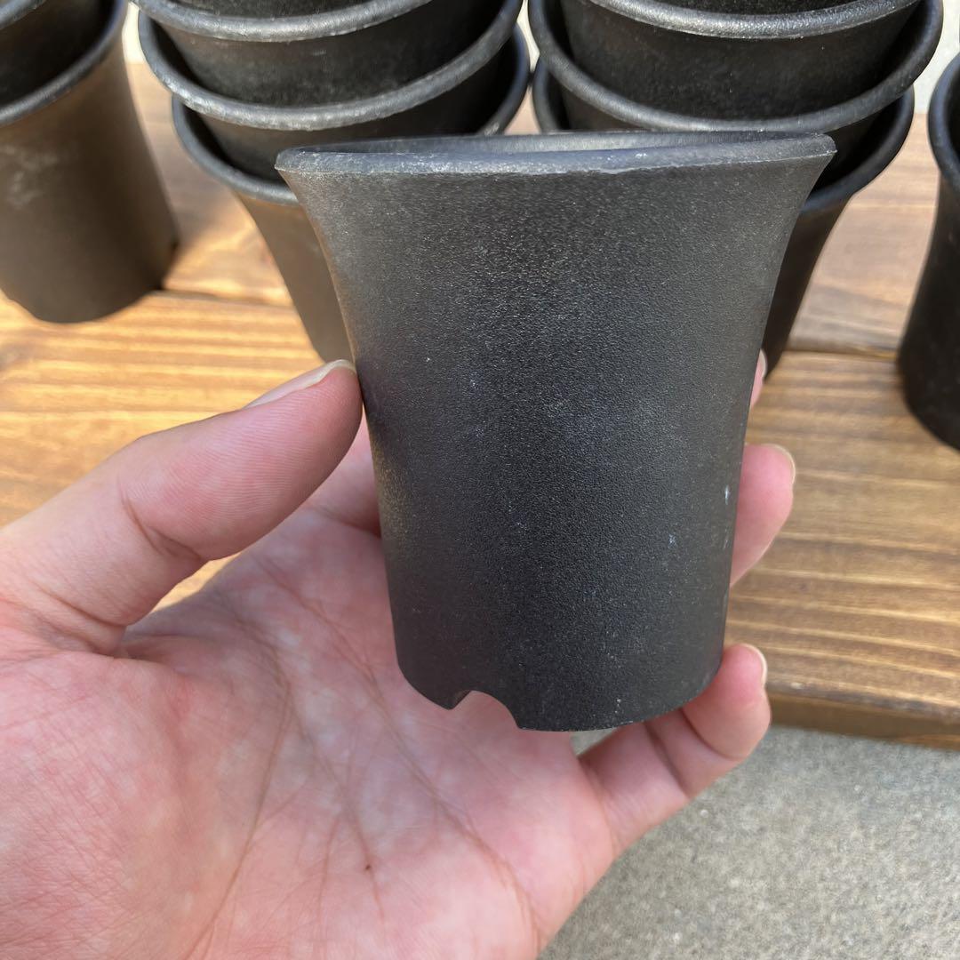 ラン鉢 2.5号 40個 画像5