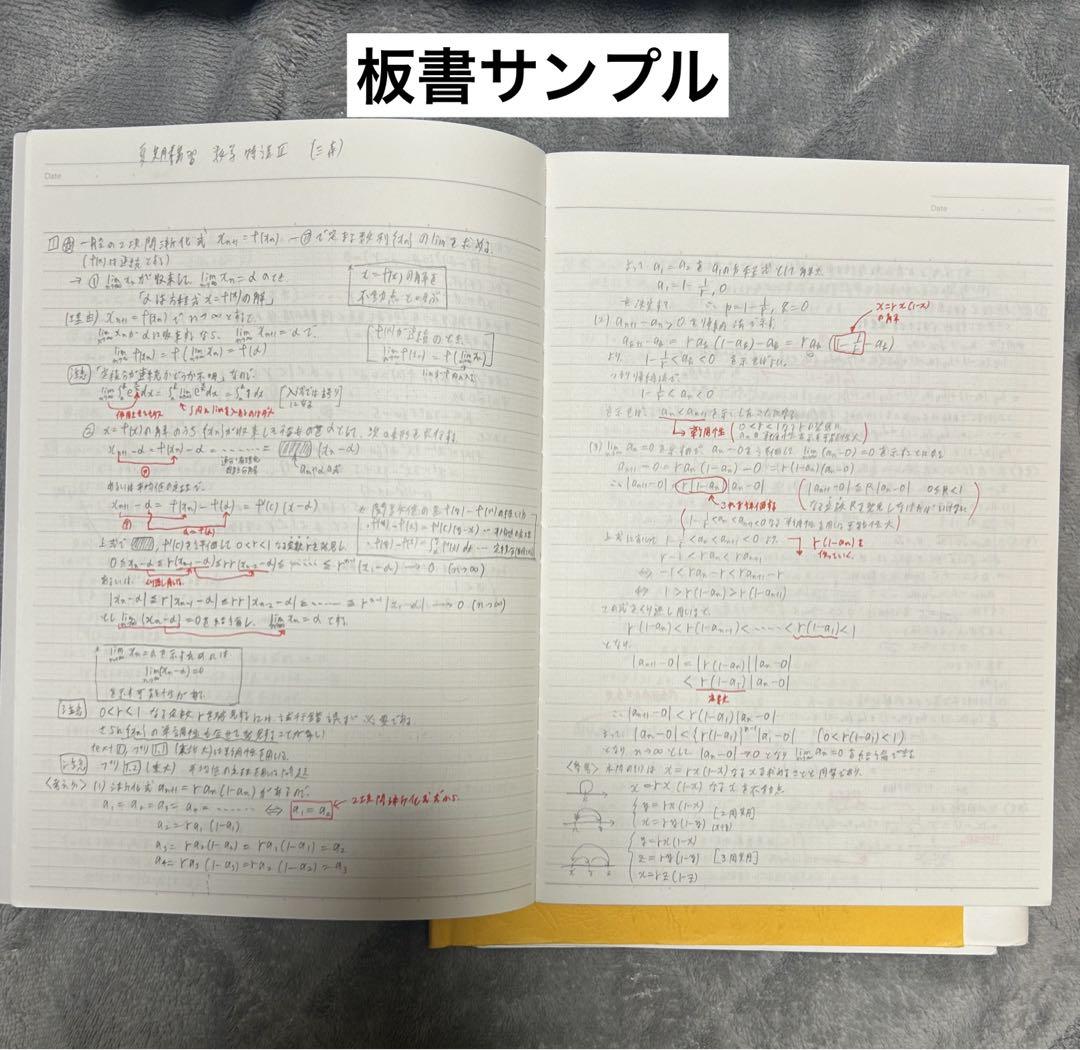 2024 駿台 夏季講習 医系数学 化学特講 物理特講 3冊セット