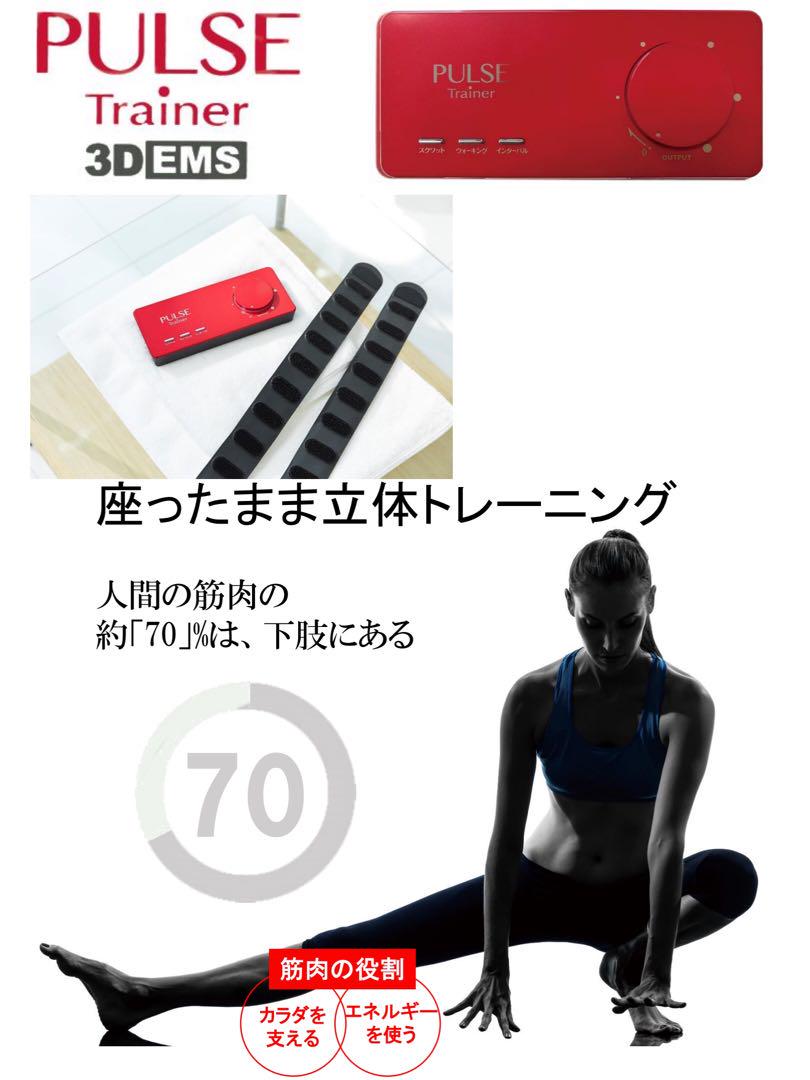 パルストレーナー3DEMS ホーマーイオン研究所 パルストレーナー3DEMS ホーマーイオン研究所【美品】 - メルカリ
