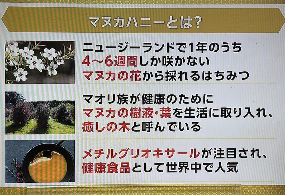 【3瓶】　マヌカハニー　MGS8+ マヌカ蜂蜜(ニュージーランド)